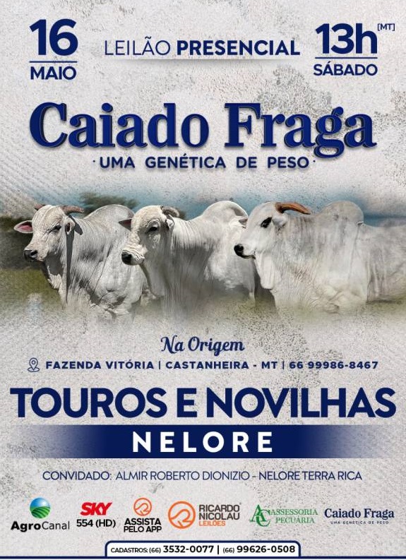Leilão Caiado Fraga oferta touros e novilhas hoje às 14h no AgroCanal