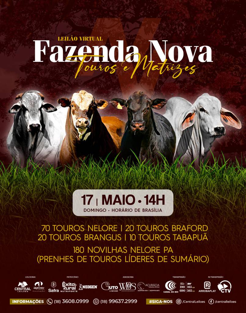 Leilão Virtual Fazenda Nova oferta touros e matrizes neste domingo no Canal do Boi