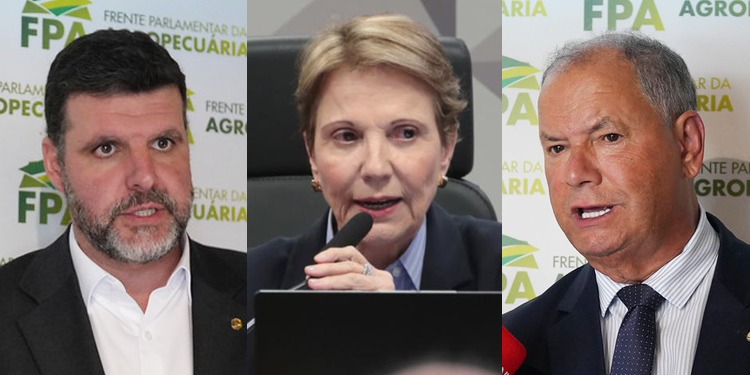 “Não há porque lançar Plano Safra se o produtor rural não tem como acessar crédito”, destaca Alceu Moreira sobre endividamento