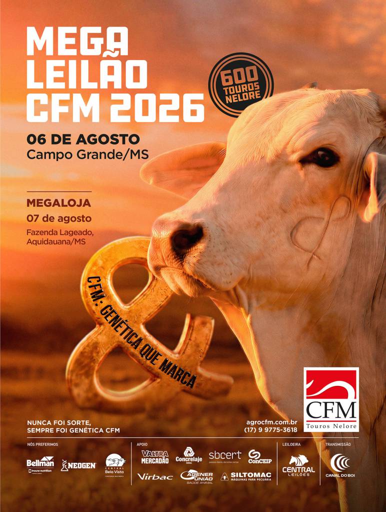 Mega Leilão CFM 2026 oferta 600 touros Nelore nesta quinta-feira às 13h com transmissão do Canal do Boi