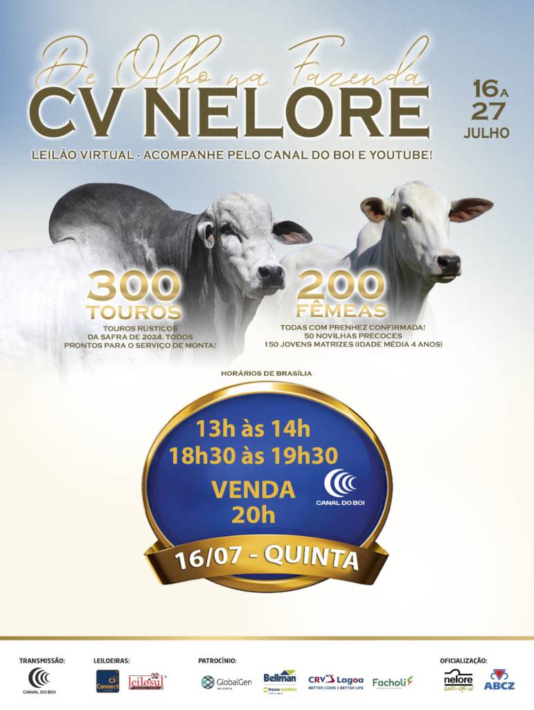 De Olho na Fazenda CV Nelore oferta touros e matrizes prenhes nesta quinta-feira pelo Canal do Boi
