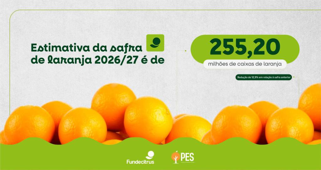 Safra de laranja 2026/27 do cinturão citrícola de SP e Triângulo Mineiro/Sudoeste de Minas Gerais é estimada em 255,20 milhões de caixas