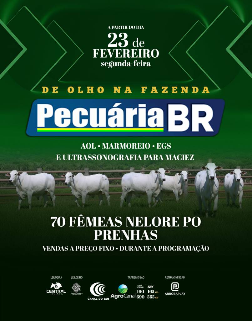 Pecuária BR vende a preço fixo fêmeas nelore selecionadas a partir de segunda no Canal do Boi