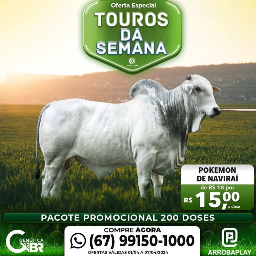 Conheça os touros com venda especial de sêmen desta semana