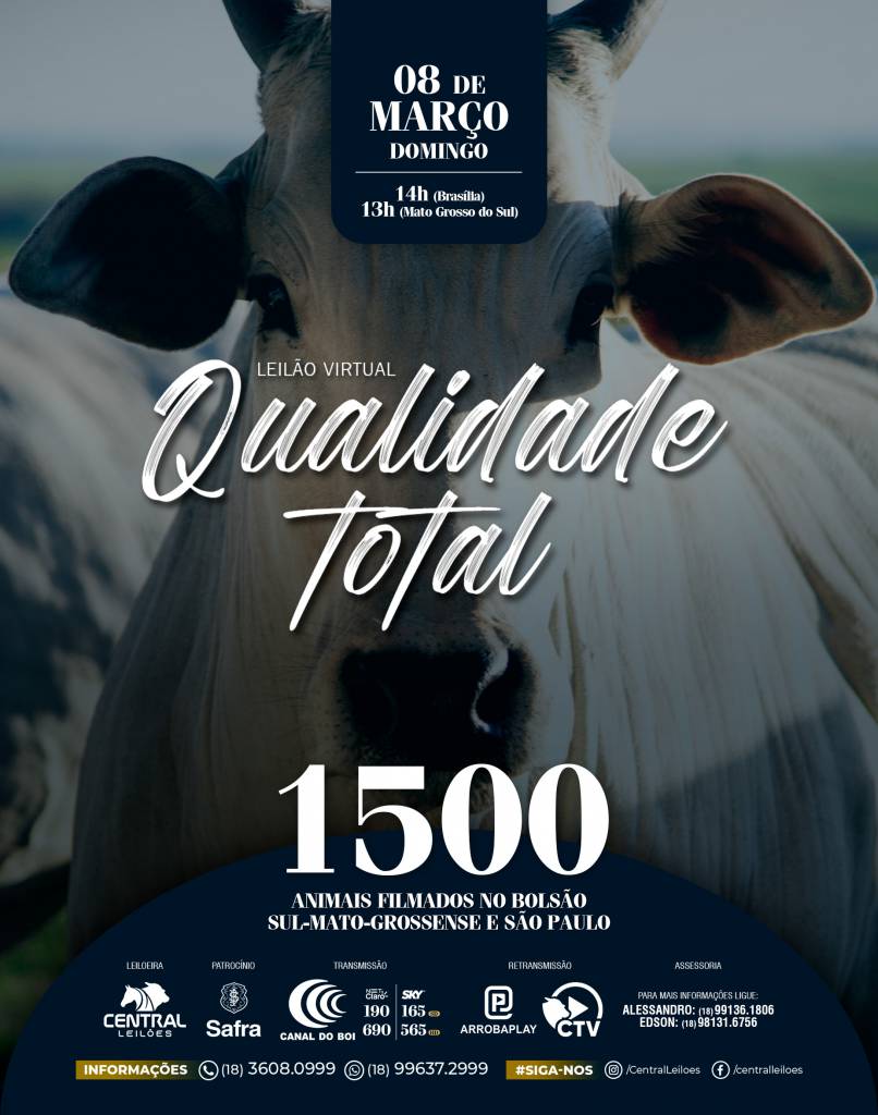 Leilão Qualidade Total oferta 1.500 animais neste domingo no Canal do Boi