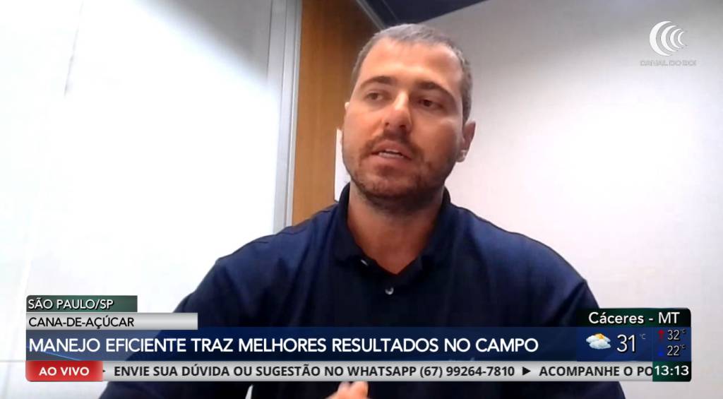 Manejo eficiente amplia resultados na cana-de-açúcar