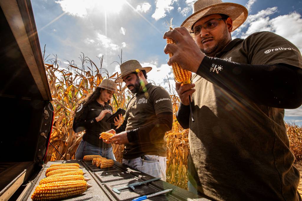 Rally da Safra avalia lavouras no Mato Grosso do Sul e Norte do Paraná para medir potencial da segunda safra de milho