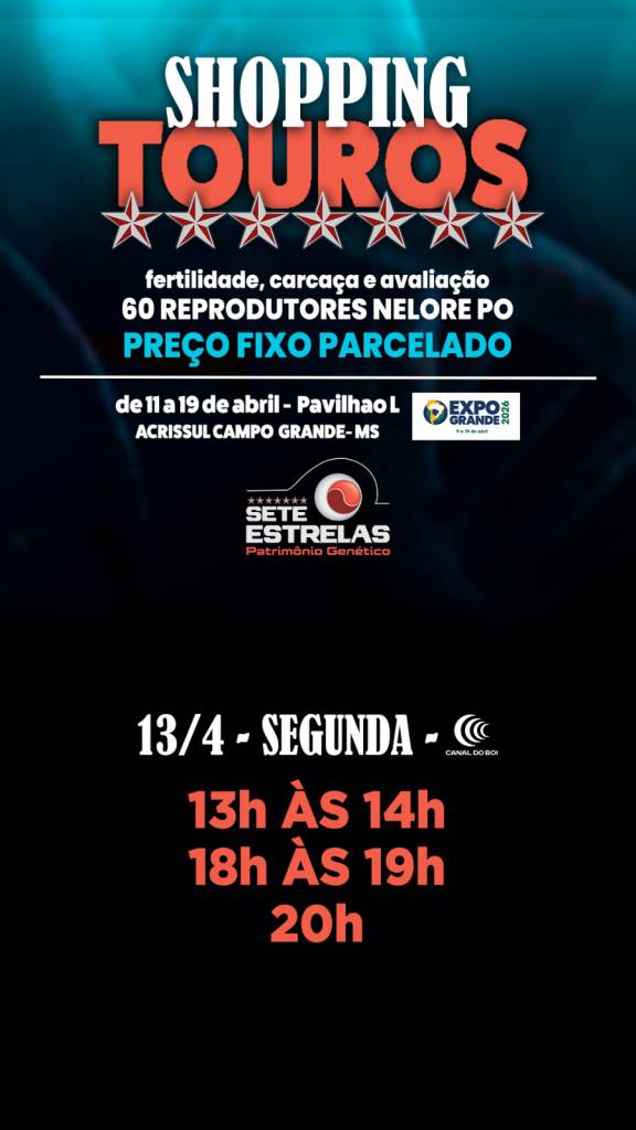 Shopping de Touros Sete Estrelas vende a preço fixo reprodutores selecionados no Canal do Boi