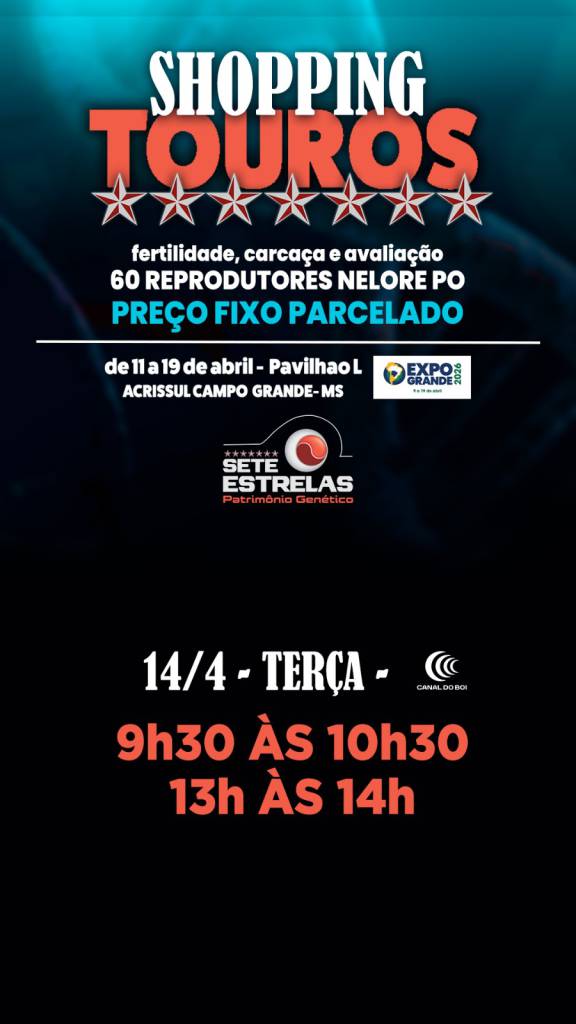 Shopping de Touros Sete Estrelas vende a preço fixo reprodutores selecionados no Canal do Boi