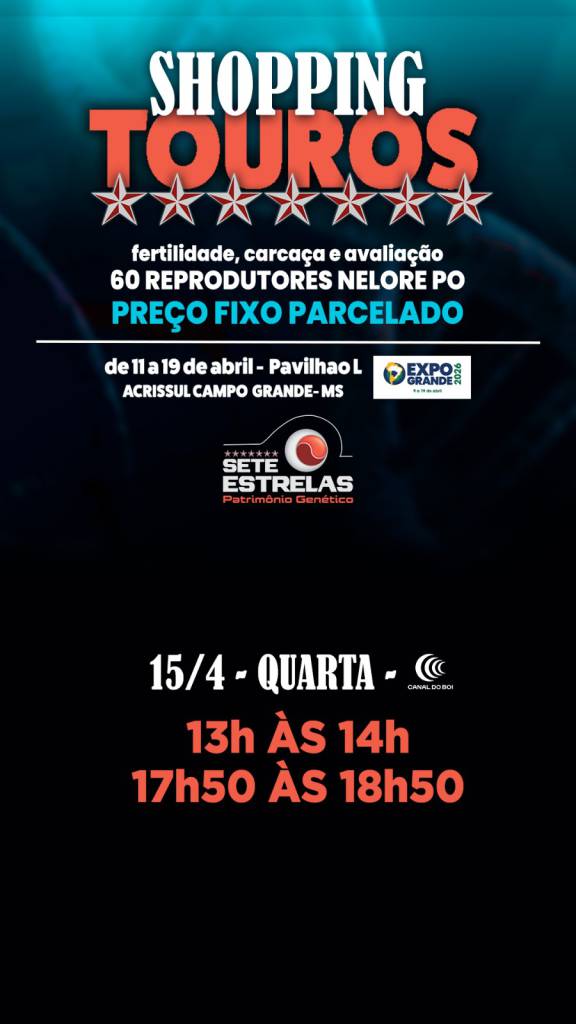 Shopping de Touros Sete Estrelas vende a preço fixo reprodutores selecionados no Canal do Boi