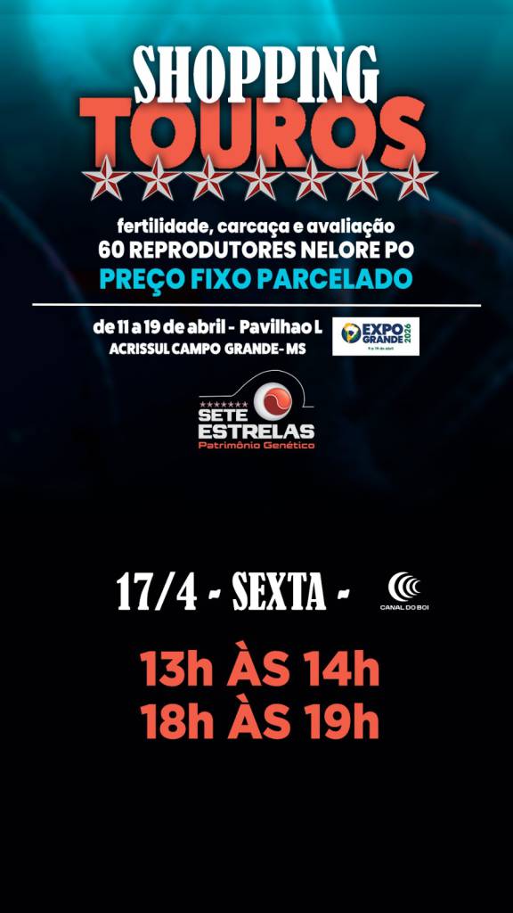 Shopping de Touros Sete Estrelas vende a preço fixo reprodutores selecionados no Canal do Boi