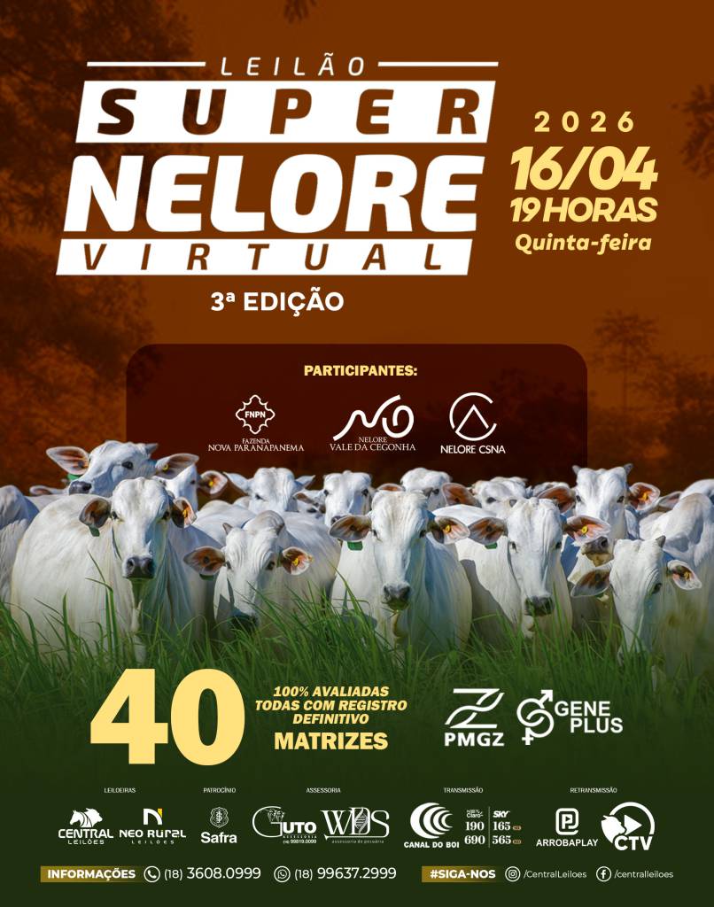 Leilão Super Nelore oferta matrizes nesta quinta-feira no Canal do Boi