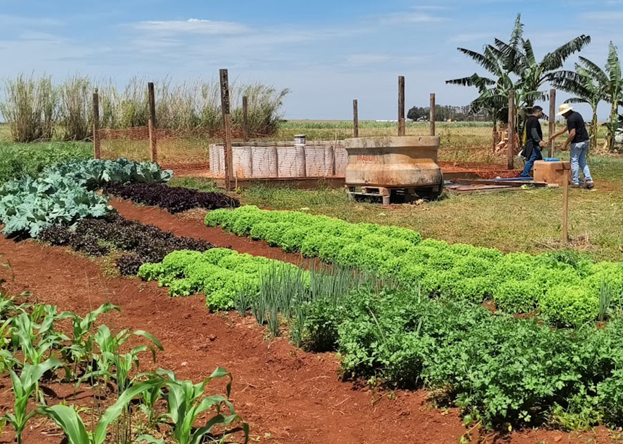 Sisteminha Embrapa é usado como ferramenta pedagógica em faculdade indígena