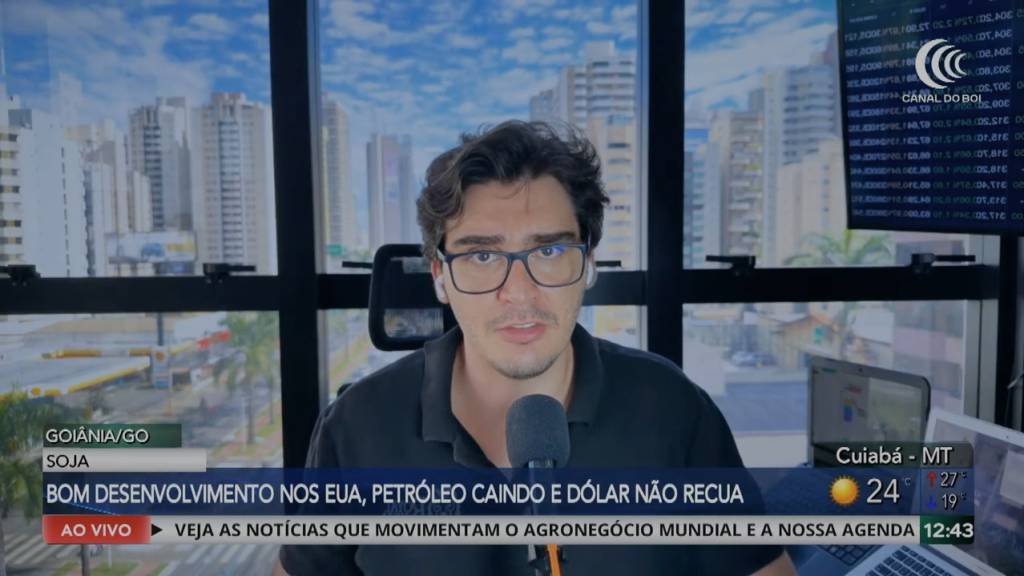  Soja avança nos EUA com lavouras em boas condições, enquanto mercado acompanha petróleo e juros