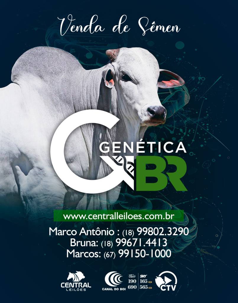 Venda de Sêmen Genética BR acontece nesta sexta-feira às 21h no Canal do Boi