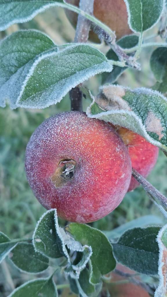 Tempo firme e baixas temperaturas devem marcar esta quarta-feira no Centro-Sul