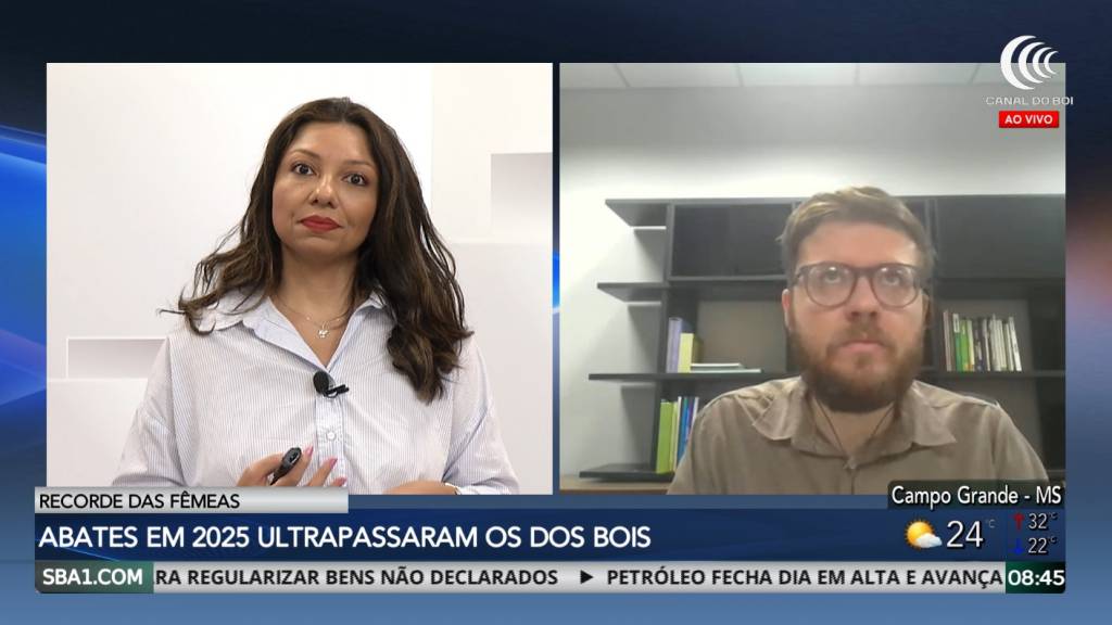 Mato Grosso segue na liderança dos abates de bovinos no Brasil