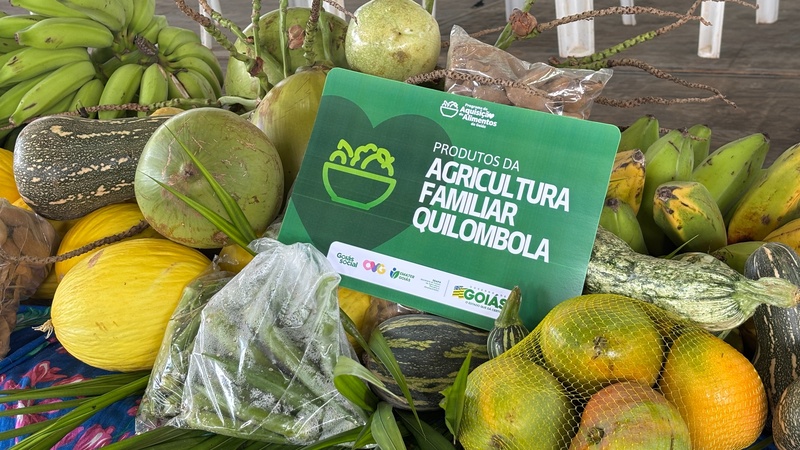 Governo de Goiás investe mais de R$ 80 milhões na agricultura familiar em 2025