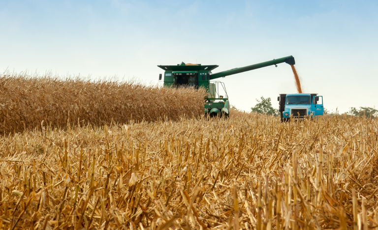 Crédito rural movimenta R$ 433 bilhões na agricultura empresarial entre julho de 2025 e maio de 2026
