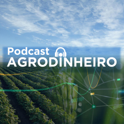 #538 AgroDinheiro: Mercado da soja reage em Chicago com apoio do óleo