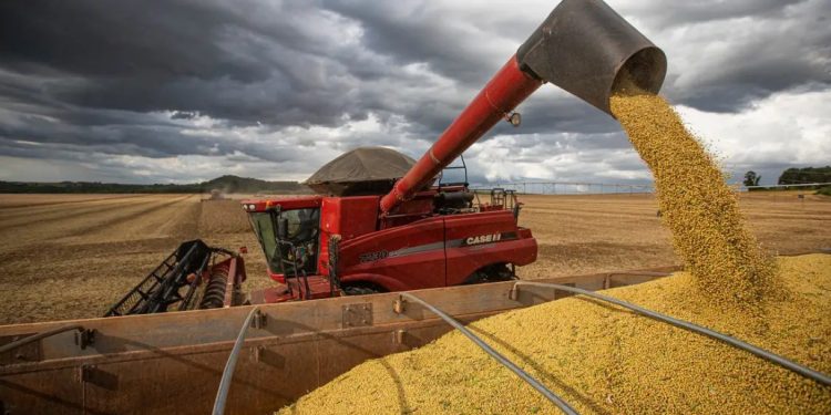 CNA projeta VBP da agropecuária de R$ 1,39 tri em 2026, 4,8% menor ante 2025