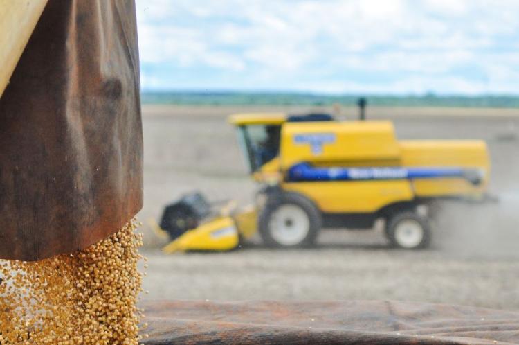 Mato Grosso do Sul amplia protagonismo no agro brasileiro em ano de recordes para o setor