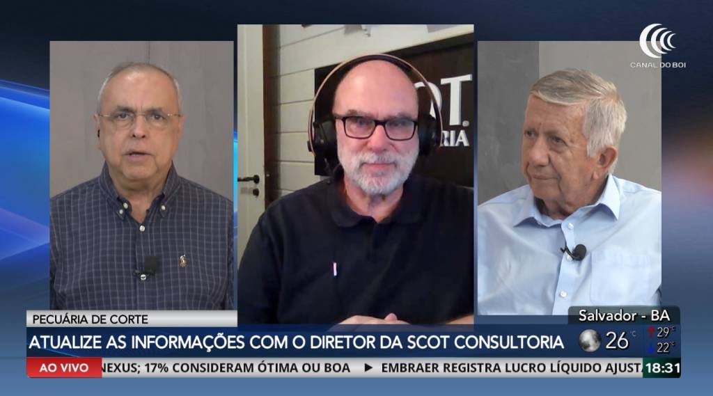 Boi gordo começa a semana com mercado firme e preços estáveis