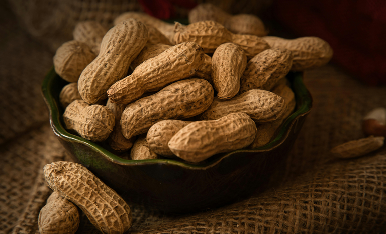 Mapa instala Câmara Setorial da Cadeia Produtiva de Amendoim do Conselho Nacional de Política Agrícola