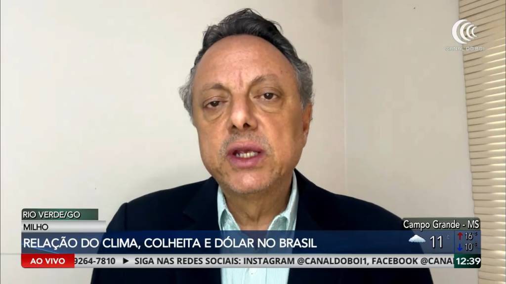 Dólar forte sustenta preços da soja e favorece comercialização no Brasil