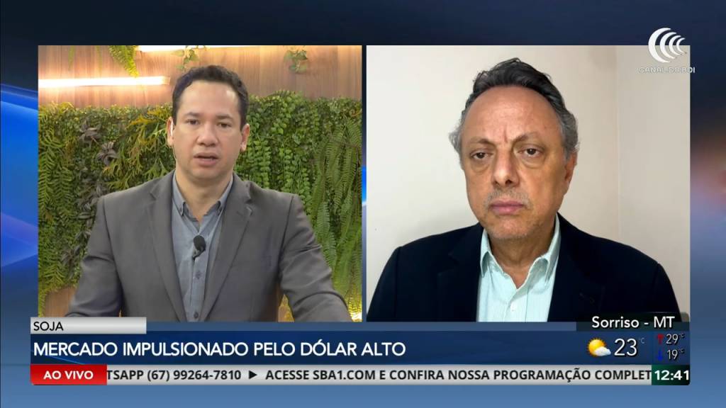 Dólar forte sustenta preços da soja e favorece comercialização no Brasil
