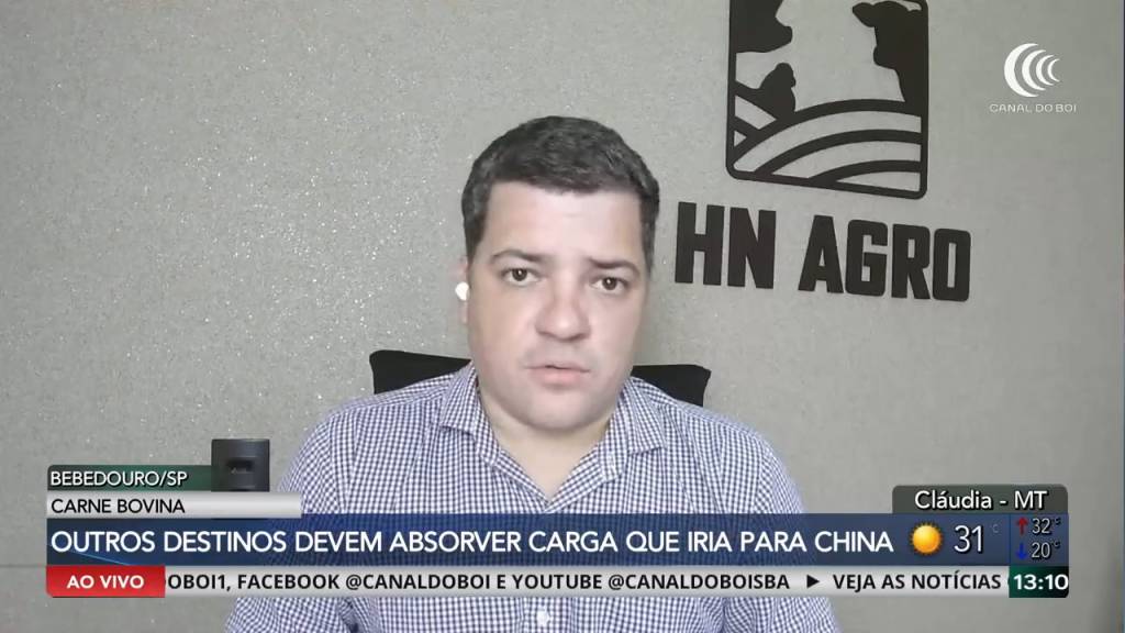 Mercado do boi gordo segue pressionado, mas exportações buscam novos caminhos