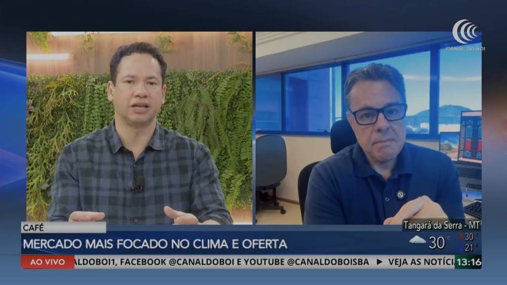 Clima e oferta global seguem ditando o rumo do mercado do café