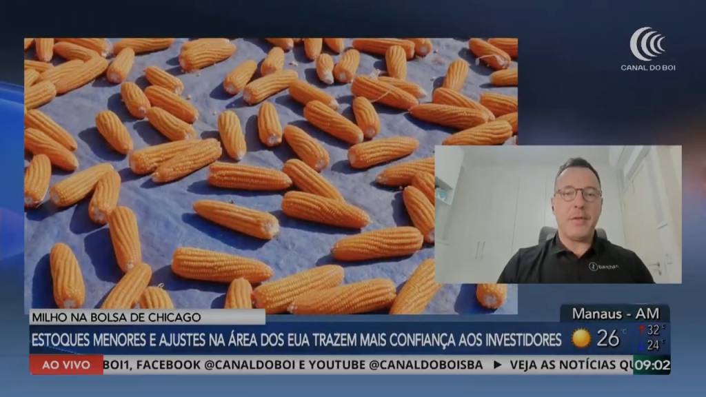 Relatório do USDA impulsiona mercado do milho e anima preços na Bolsa de Chicago