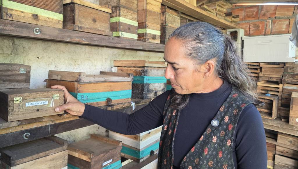 No quintal de casa, apicultora de Chapada dos Guimarães transforma paixão por abelhas em trabalho de preservação