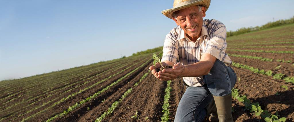Saiba o que deve ser levado em consideração na hora de solicitar a aposentadoria rural