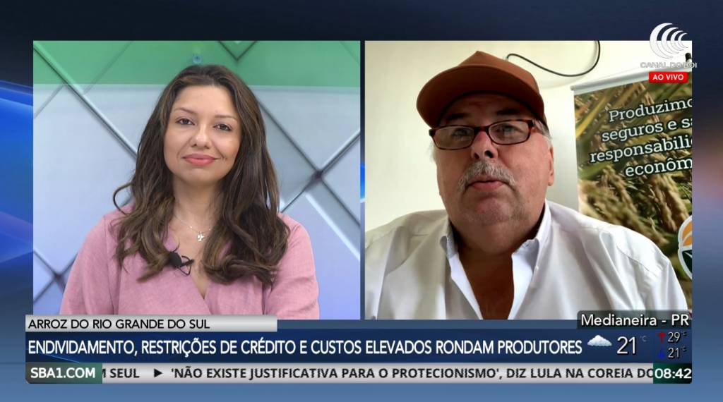 Endividamento, restrições de crédito e custos elevados rondam produtores de arroz