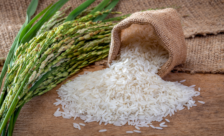 Mapa discute demandas do setor orizícola do Rio Grande do Sul com entidades instituições financeiras