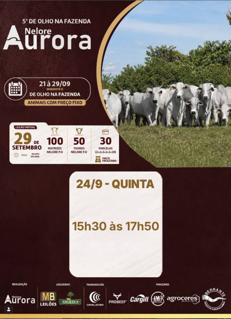 De Olho na Fazenda Nelore Aurora vende a preço fixo matrizes e touros nelore PO no Canal do Boi