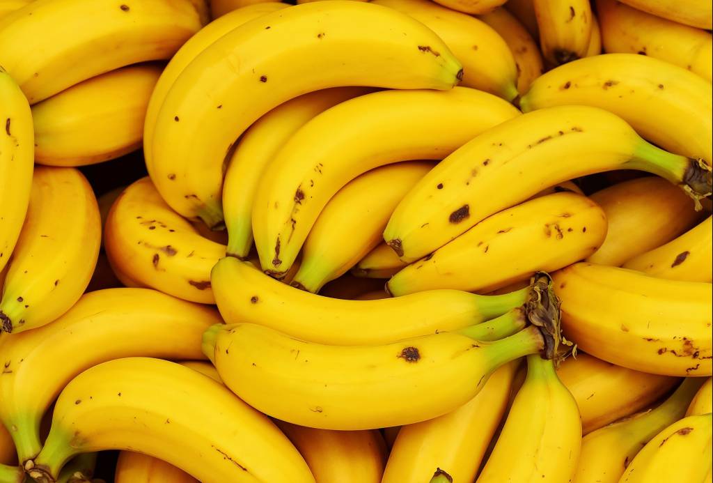 Vale do Ribeira, em SP, conquista Indicação Geográfica para banana