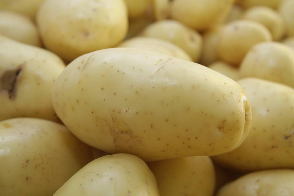 Preços da batata e da cebola caem no atacado em janeiro, mostra Prohort da Conab