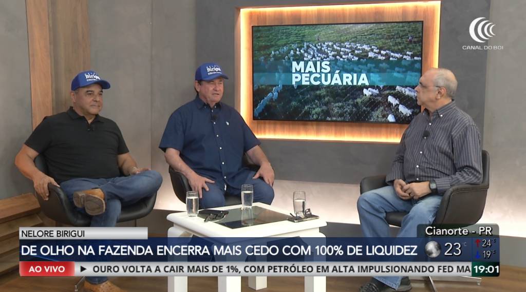 Nelore Birigui encerra de Olho na Fazenda mais cedo devido sucesso de vendas
