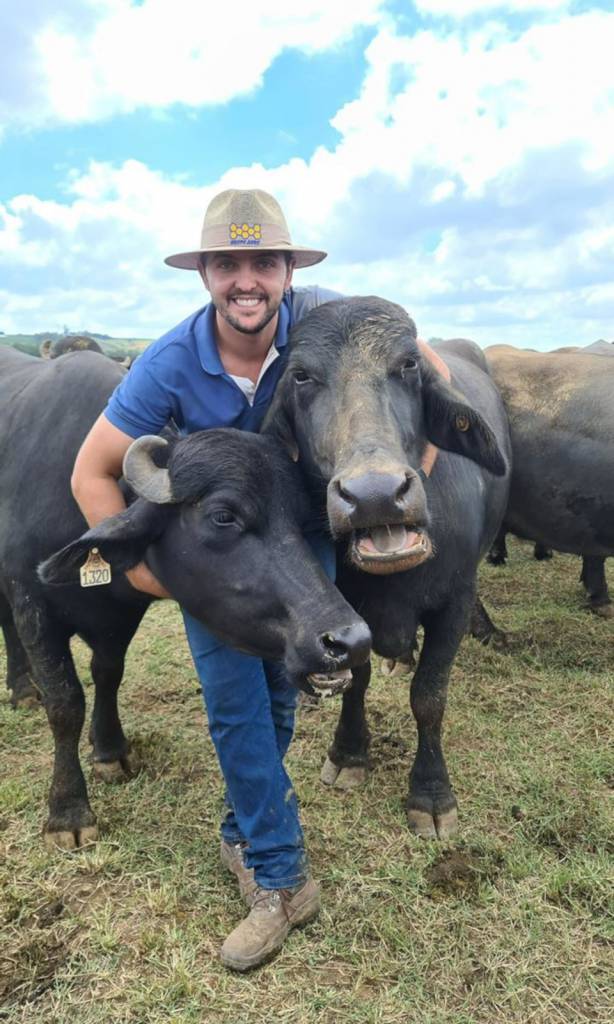 Búfala Catarina é destaque nas redes sociais mostrando a sua rotina