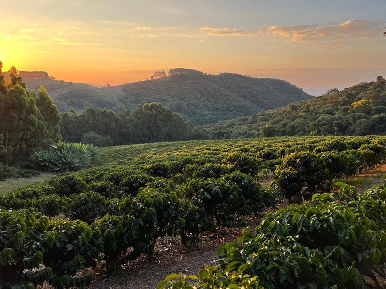 Circuito das Águas Paulista conquista Indicação Geográfica para o café