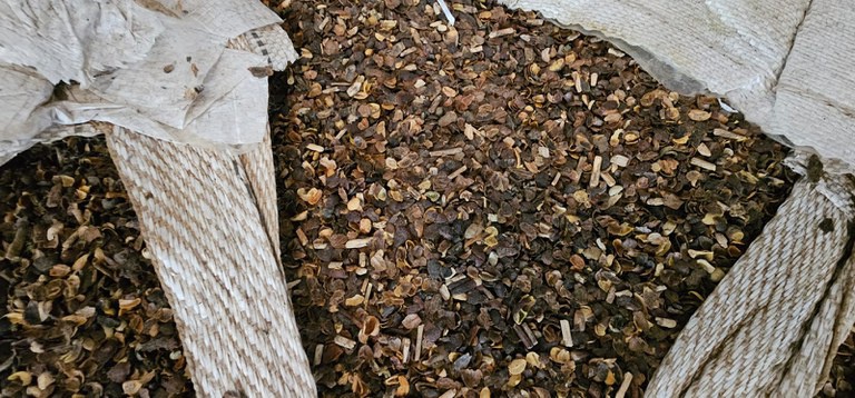 Mapa destina café apreendido para produção de composto orgânico no Paraná
