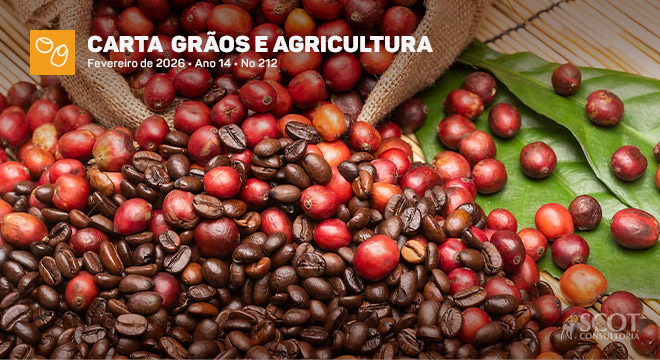 Preços do café começam 2026 em queda