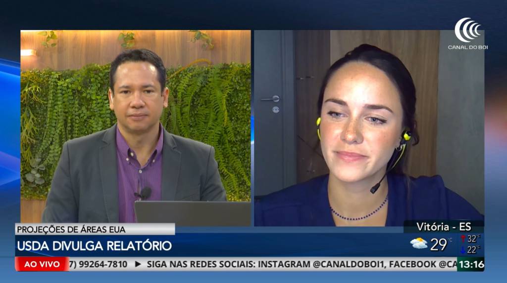 USDA indica avanço da soja e ajuste na área de milho