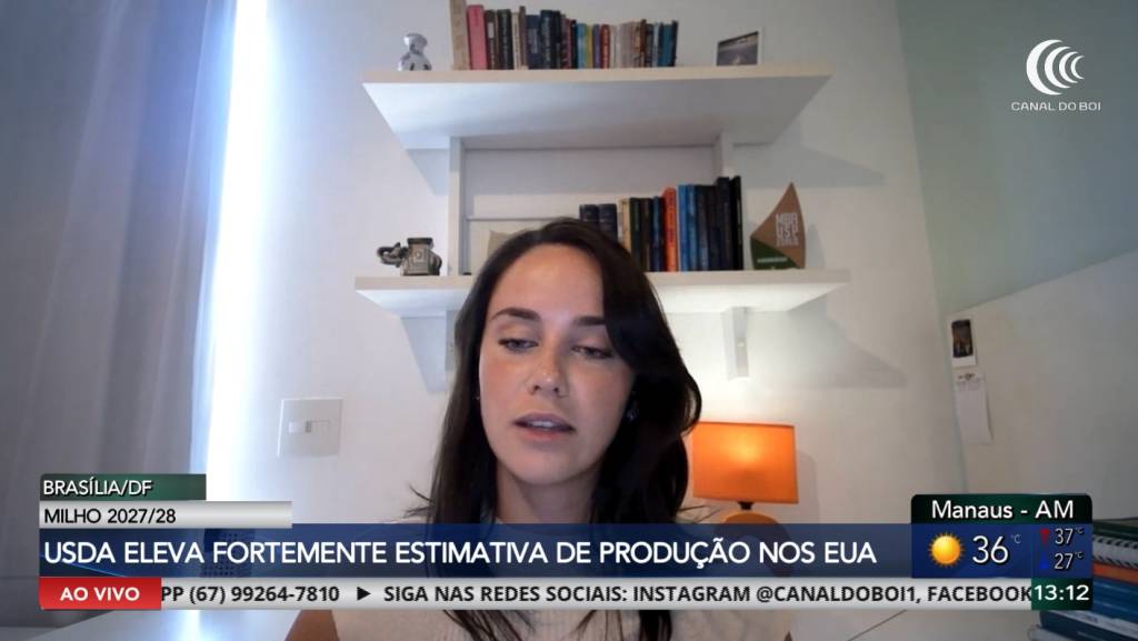 USDA eleva projeções de produção de soja e milho nos Estados Unidos