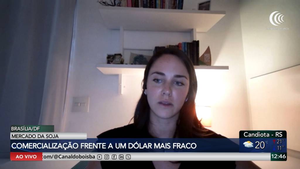 Dólar mais fraco influencia comercialização de soja e milho no Brasil