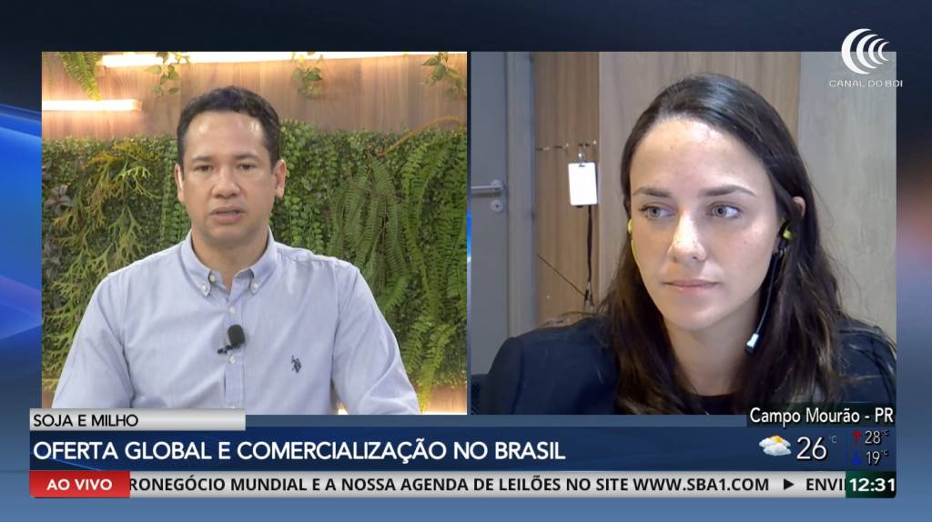 Extensão do cessar fogo faz mercado da soja reagir