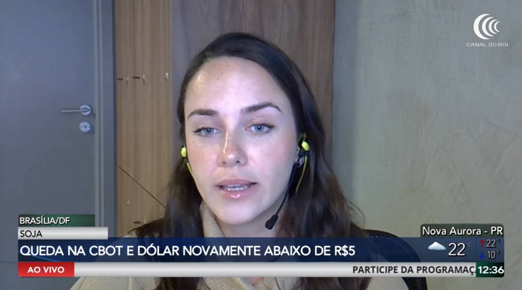 Soja despenca em Chicago e mercado reage a reunião entre EUA e China